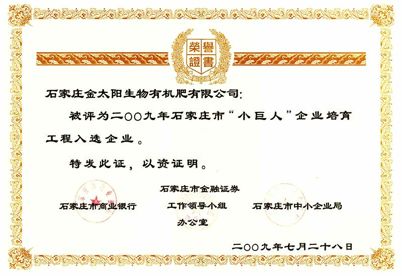 020-市小巨人荣誉证书.jpg